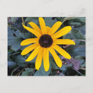 Stufe 1 - Erziehungsbrainfart Postkarte