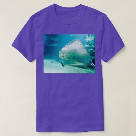 Stufe 1 T-Shirt (Design vorne)