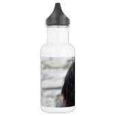 Stufe 2 edelstahlflasche (Links)