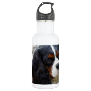 Stufe 2 edelstahlflasche