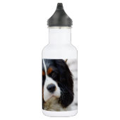 Stufe 2 edelstahlflasche (Rechts)