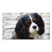 Stufe 2 fotodruck (Vorne)