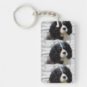 Stufe 2 schlüsselanhänger (Vorderseite)