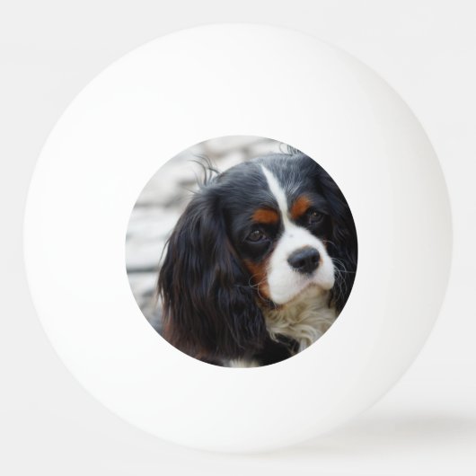 Stufe 2 tischtennisball (Vorderseite)