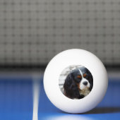 Stufe 2 tischtennisball (Netto)