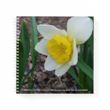 Stuff I Like Notebook von RoseWrites