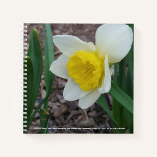 Stuff I Like Notebook von RoseWrites Notizblock