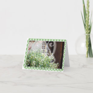 Stuhl u. Spitze leeres notecard u. Umschlag LK Karte