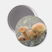 Stühle auf einem Baumstamm-Magnet Magnet (Vorderseite/Rückseite)
