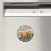 Stühle auf einem Baumstamm-Magnet Magnet (In Situ (Geschirrspüler))