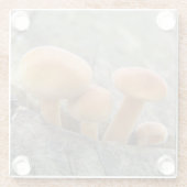 Stühle auf einem Untersetzer aus Baumkornglas (Rückseite)