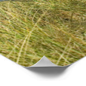 Stühle von Adirondack in den Dünen Poster (Ecke)