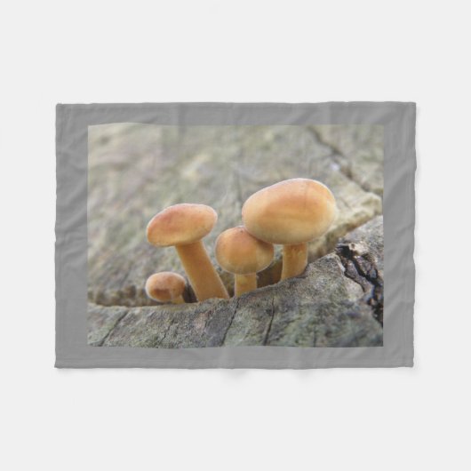 Stuhlhocker auf einem Baumstamm Fleece Blanket (Vorderseite (Horizontal))