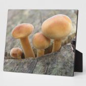 Stuhlhocker auf einer Tree Trunk Plaque Fotoplatte (Seite)