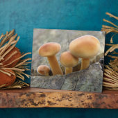 Stuhlhocker auf einer Tree Trunk Plaque Fotoplatte (Seite)