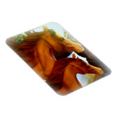 Stuhlmagnet und Ponymagnet Magnet (Rechte Seite)