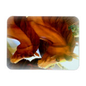 Stuhlmagnet und Ponymagnet Magnet (Horizontal)