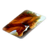 Stuhlmagnet und Ponymagnet Magnet (Linke Seite)