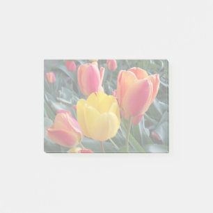 Stumme Farben in Ihrem eigenen Foto Post-it Klebezettel
