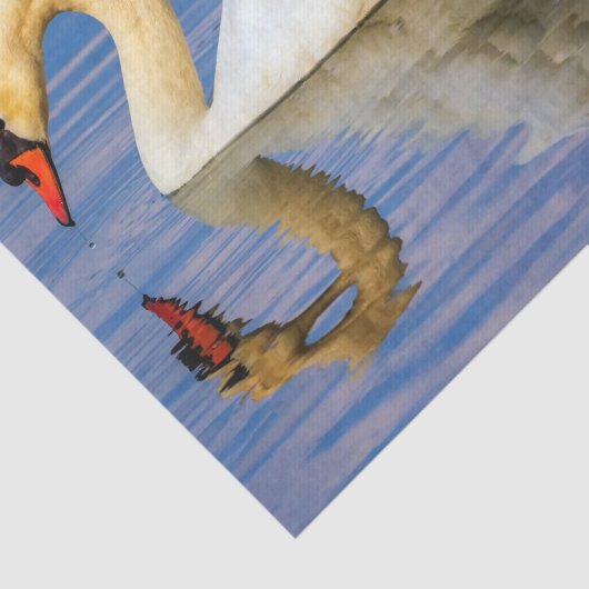 Stummer Schwan, Cygnus olor Seidenpapier (Ausschnitt)