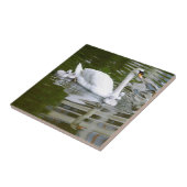 Stummer Schwan mit Nestlings auf Wasser Fliese (Seite)