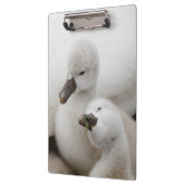 Stummer SchwanCygnets Klemmbrett (Links)