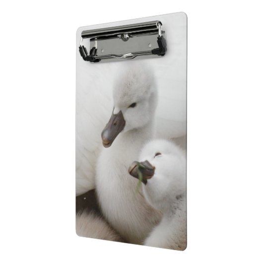 Stummer SchwanCygnets Mini Klemmbrett (Gewinkelt2)