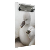 Stummer SchwanCygnets Mini Klemmbrett (Schrägansicht)