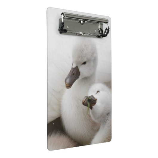 Stummer SchwanCygnets Mini Klemmbrett (Schrägansicht)