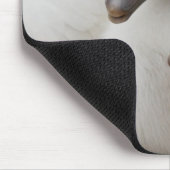 Stummer SchwanCygnets Mousepad (Ecke)