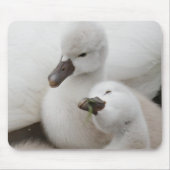 Stummer SchwanCygnets Mousepad (Vorne)