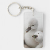 Stummer SchwanCygnets Schlüsselanhänger (Vorderseite)