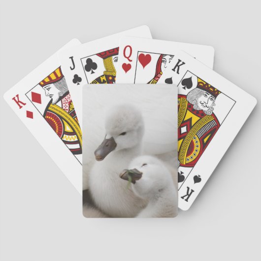 Stummer SchwanCygnets Spielkarten (Rückseite)