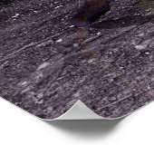 Stummholz Poster (Ecke)