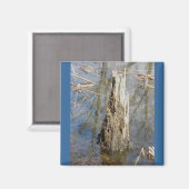 Stump in Pond Magnet (Vorderseite/Rückseite)