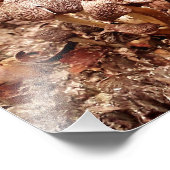 Stump Mushrooms Fotodruck (Ecke)