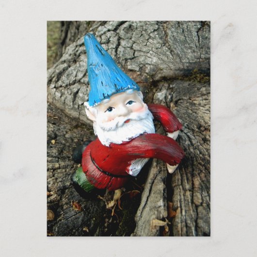 Stumped Gnome Postkarte (Vorderseite)