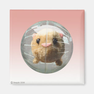 Stümper-Magnet Magnet