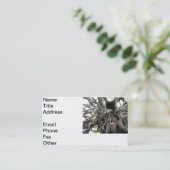 Stumpf Visitenkarte (Stehend Vorderseite)