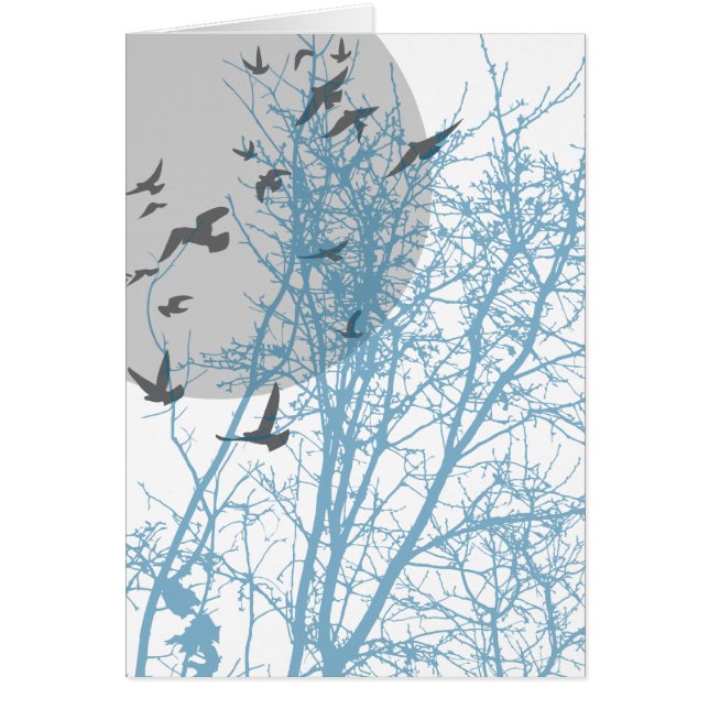 Stumpfvögel (Vorne)