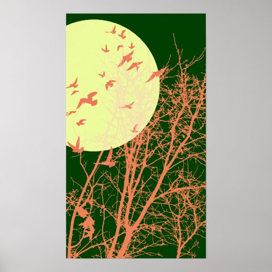 Stumpfvögel Poster (Vorne)