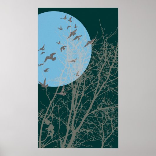 Stumpfvögel Poster (Vorne)