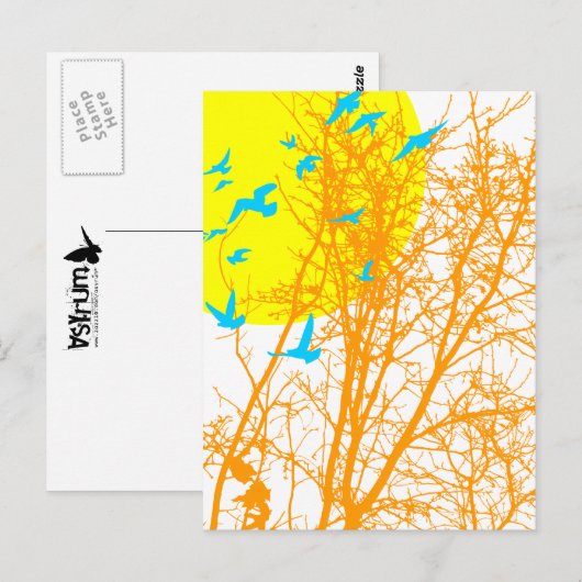 Stumpfvögel Postkarte (Vorne/Hinten)