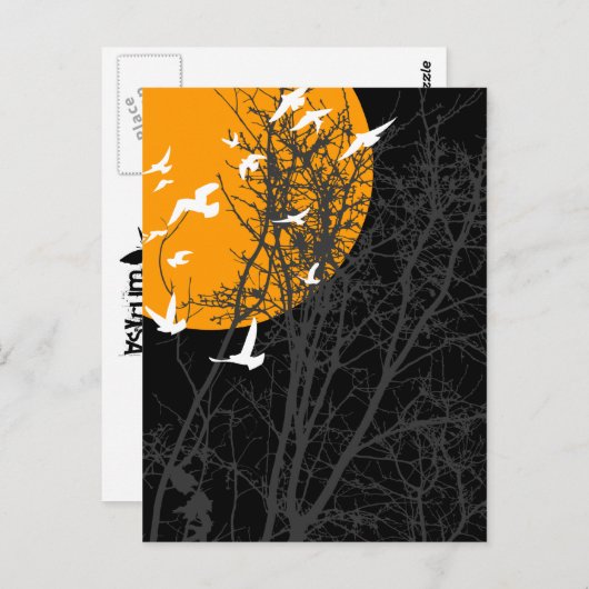 Stumpfvögel Postkarte (Vorne/Hinten)