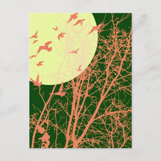 Stumpfvögel Postkarte (Vorderseite)