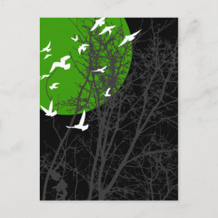 Stumpfvögel Postkarte