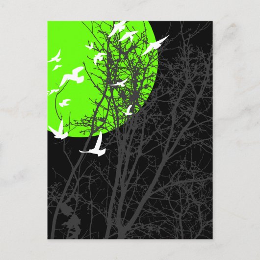 Stumpfvögel Postkarte (Vorderseite)