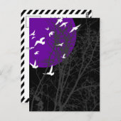 Stumpfvögel Postkarte (Vorne/Hinten)