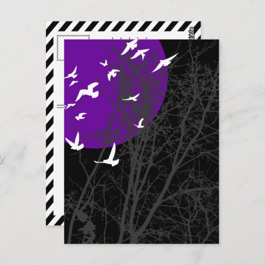 Stumpfvögel Postkarte (Vorne/Hinten)