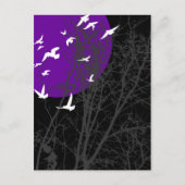 Stumpfvögel Postkarte (Vorderseite)